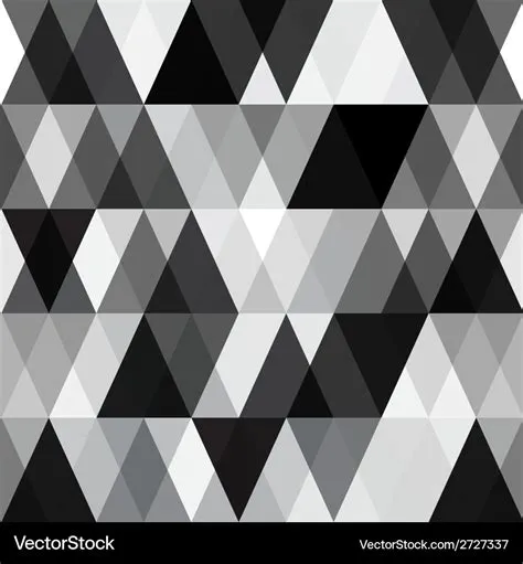 Black and white abstract geometry pattern Vector Image