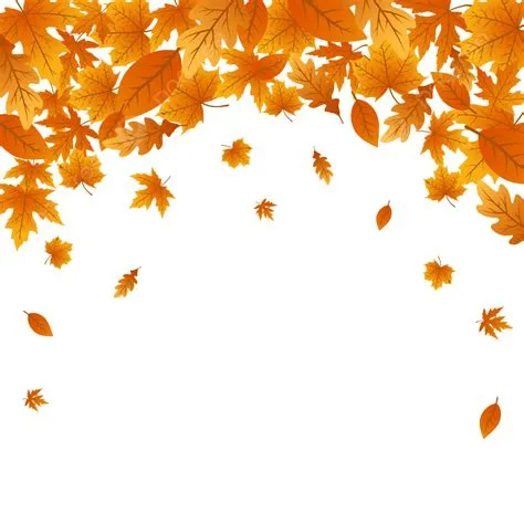 Fall Leaf Frame With Gradation Color Vector, Frames, Autumn Leaves ...