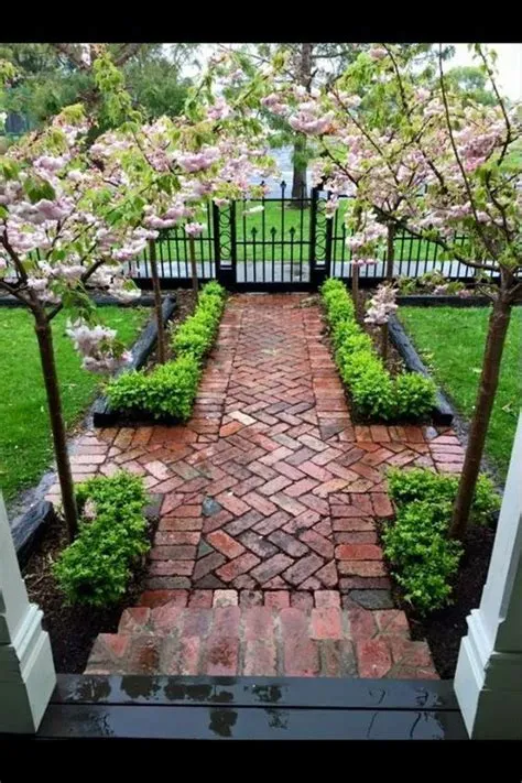 Pohon Rindang Depan Rumah | Terindex K