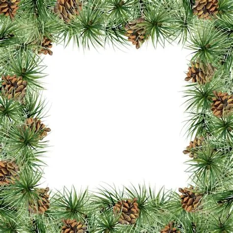 Pine Tree Border Corner Images - Free Download on Freepik