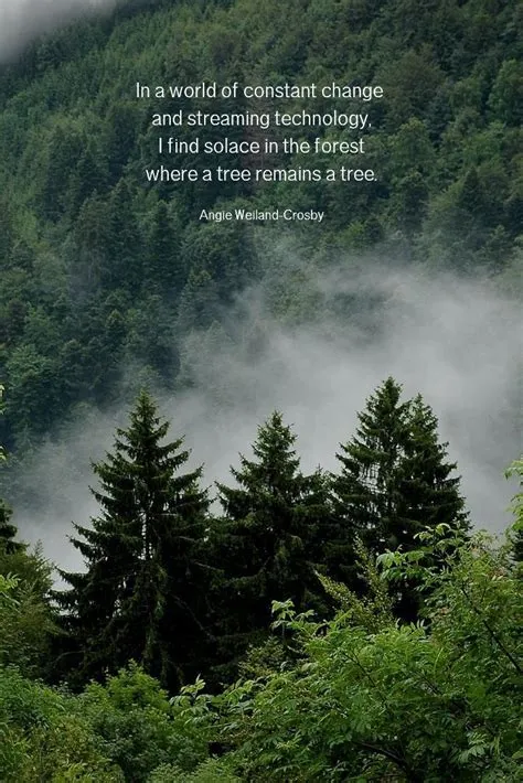 Nature Quotes for the Wandering Soul | Momsoulsoothers | Nature quotes ...