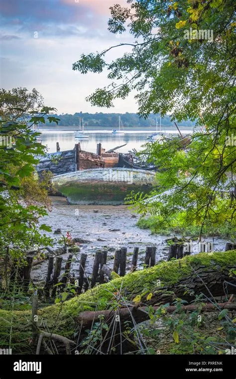 Derelict boats lie on the mud at Pin Mill Stock Photo - Alamy