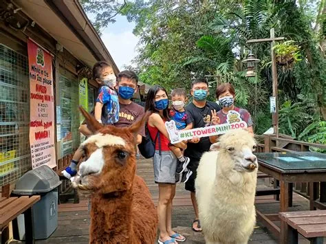 Play With Alpacas, Fennec Foxes, And More At This Mini Zoo In KL