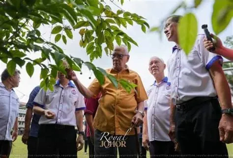 Johor akan paten motif tumbuhan gambir dan lada hitam sebagai hak ...