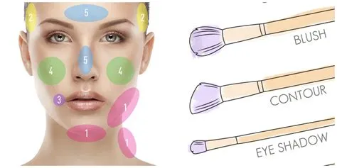 Makeup Brush Chart | Saubhaya Makeup