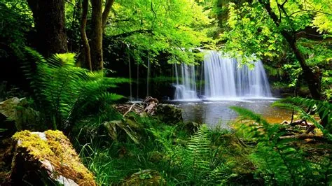 Cool Green Nature Wallpapers - Wallpaper Cave