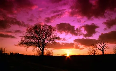1920x1080 wallpaper | Tree, Sunrise, Sky, Sunset, Nature, sunset ...