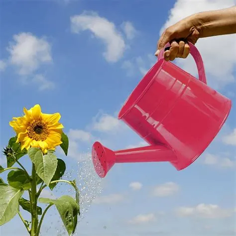 2026 Watering Can - Small Metal Watering Can for Indoor Outdoor Garden ...