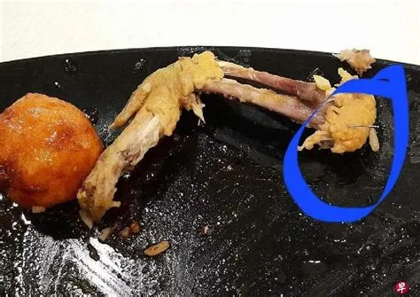 'As thick as a safety pin': Diner nearly swallows metal wire in nasi ...