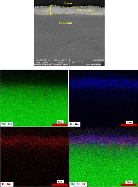 FESEM image of the cross-section with the MAP analysis | Download ...
