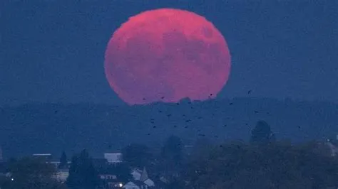 Hasil Tangkapan Gambar Warganet Usai Melihat Pink Moon, Benar-benar ...