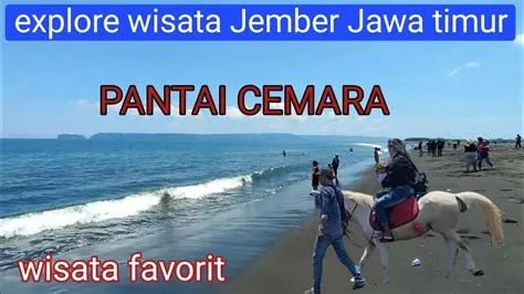 WISATA PANTAI CEMARA || TERBARU‼️GETEM MOJOMULYO PUGER-JEMBER JAWA ...