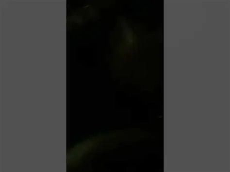 Cccccccccccccccc - YouTube