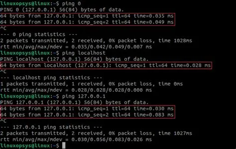 ping Command in Linux with Examples