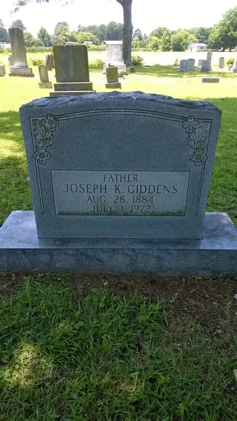 Glomerular Histology Labeled