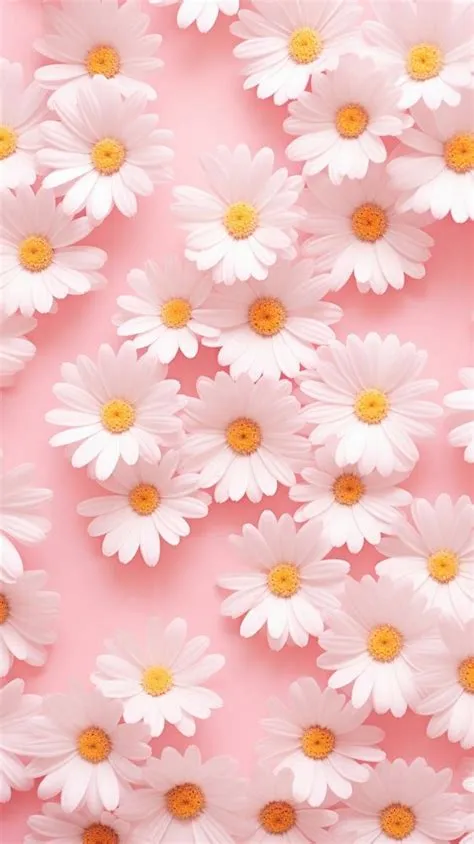 Wallpaper pattern flower daisy backgrounds | Free Photo - rawpixel