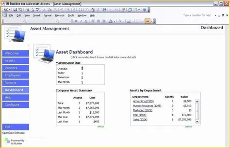 Microsoft Access Inventory Management Template