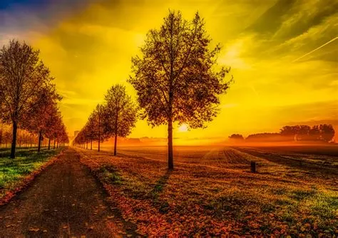 Form Of Art Realism at Harrison Greenwood blog