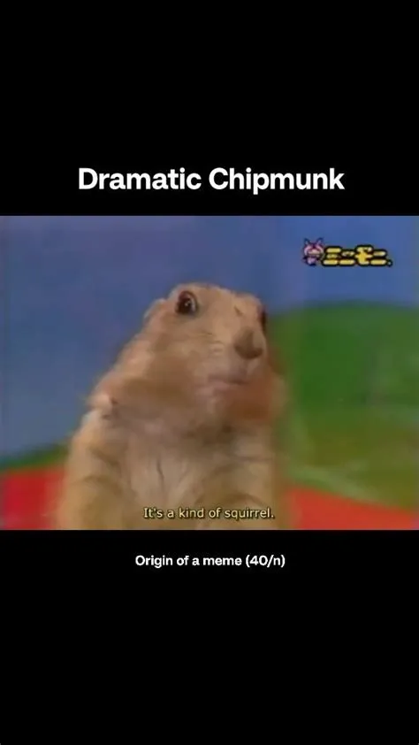 The Origin of Memes | The "Dramatic Chipmunk" meme originated from a ...