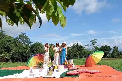 Seger Nusantara Jember, Tempat Piknik Seru Melihat Taburan Bintang, Ada ...