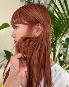 "salmon, his palette" by ROVER | Red paint colors, Solid color ...