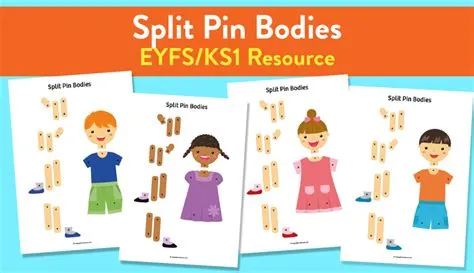 Split-pin Bodies Activity for Early Years and KS1 - Teachwire