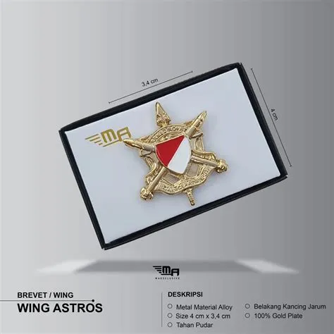 Jual WING ASTROS PDH BRIVET BREVET PIN ASTROS | Shopee Indonesia