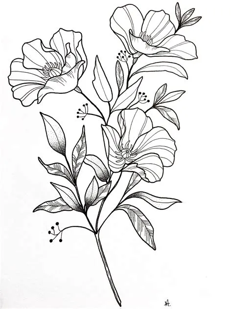 by Ani.arts on tattoo and ink | Flower drawing, Drawings, Flower ...