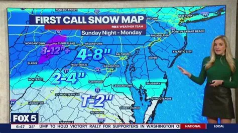 DC winter storm snow forecast: 1-2 punch expected across DMV - NewsBreak