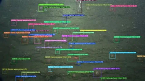 Ocean Vision AI uses the power of artificial intelligence to process ...