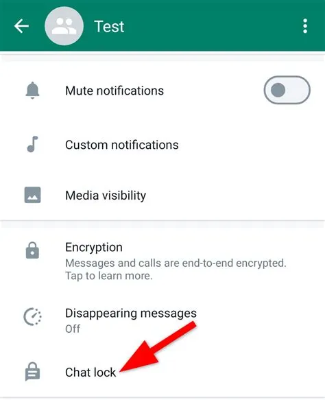 How to Lock a Chat on WhatsApp