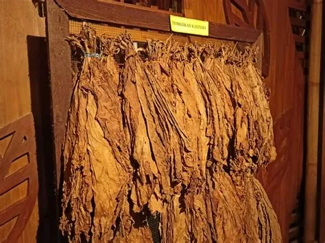 Wisata Tembakau di Museum Tembakau Jember - TelusuRI