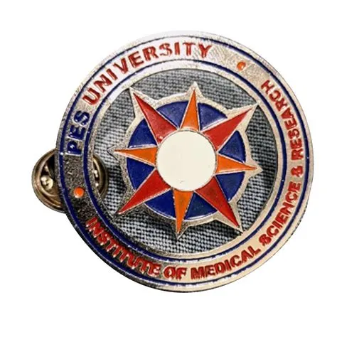 Brass Custom University Logo Lapel Pin at Rs 85/piece in New Delhi | ID ...