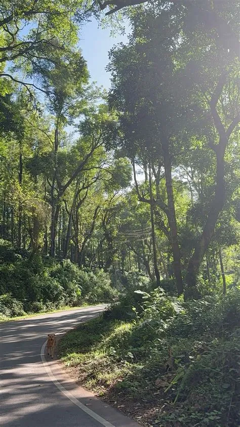 by Heeba on Pins by you | Nature photography, Background, Photography