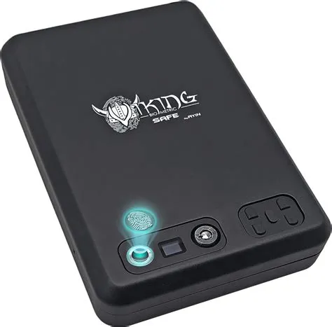 AYIN Viking Biometric Fingerprint Safe, Biometric Fingerprint Gun Safe ...
