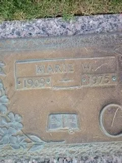 FESEM surface morphology and cross section images of CdTe thin films ...