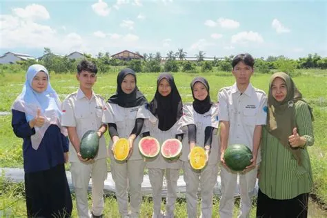 KEMBALI, MAHASISWA POLIJE HASILKAN INOVASI SEMANGKA TANPA BIJI DAN ...