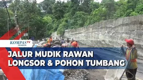 Jalur Mudik di Gunung Gumitir Jember Rawan Longsor dan Pohon Tumbang ...