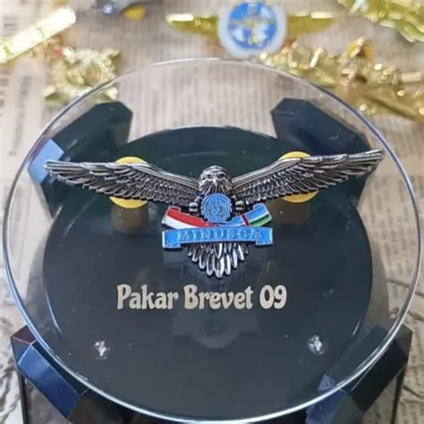 Pakar Brevet 09 : BREVET PBB/PIN PBB/BREVET MINUSCA | Lazada Indonesia