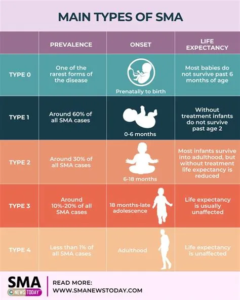 Spinal Muscular Atrophy (SMA) Types – SMA News Today | Spinal muscular ...