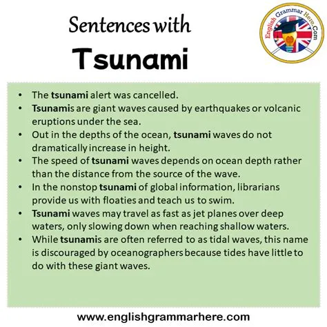 Sentences with Tsunami, Tsunami in a Sentence in English, Sentences For ...
