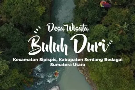 Menyelami Kecantikan Alam dan Kearifan Lokal di Desa Wisata Buluh Duri ...