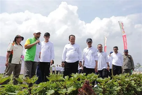 Proteksi Puluhan Ribu Hektare Lahan Pertanian di Jember, Dukung Kebutuhan Pangan Masa Mendatang ...
