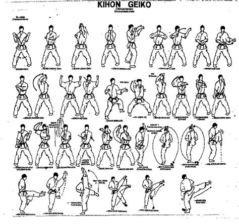 Shorin Ryu Karate Stances