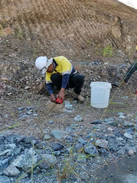 Free Clipart Bowling Pins And Ball at Abigail Fawsitt blog