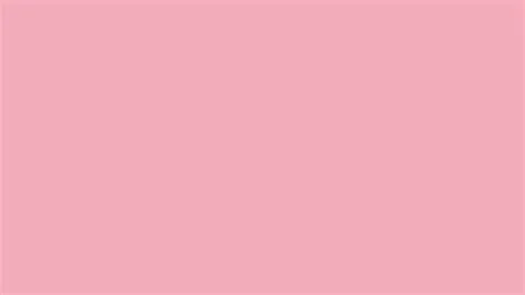 Download Solid Pink Background | Wallpapers.com