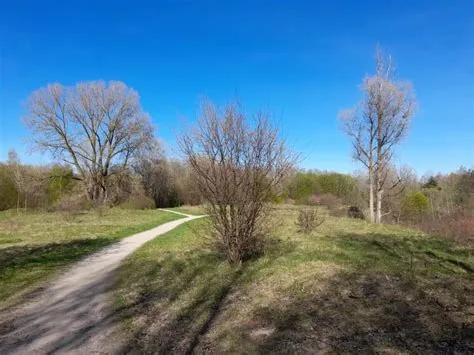 Rezerwat geomorfologiczny stoków szeszkińskich • Wilno