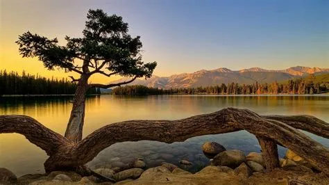 Peaceful Nature Wallpapers - Wallpaper Cave