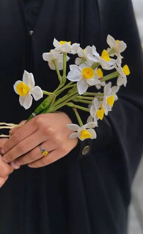 af Frmesk Karim på Background