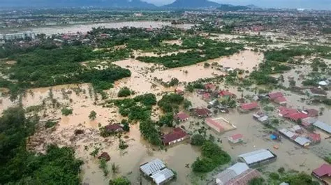 Banjir Sumbar ungkap praktik 'deforestasi yang makin luas di Taman ...